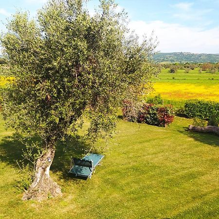 Agriturismo La Dependance ソラーノ エクステリア 写真