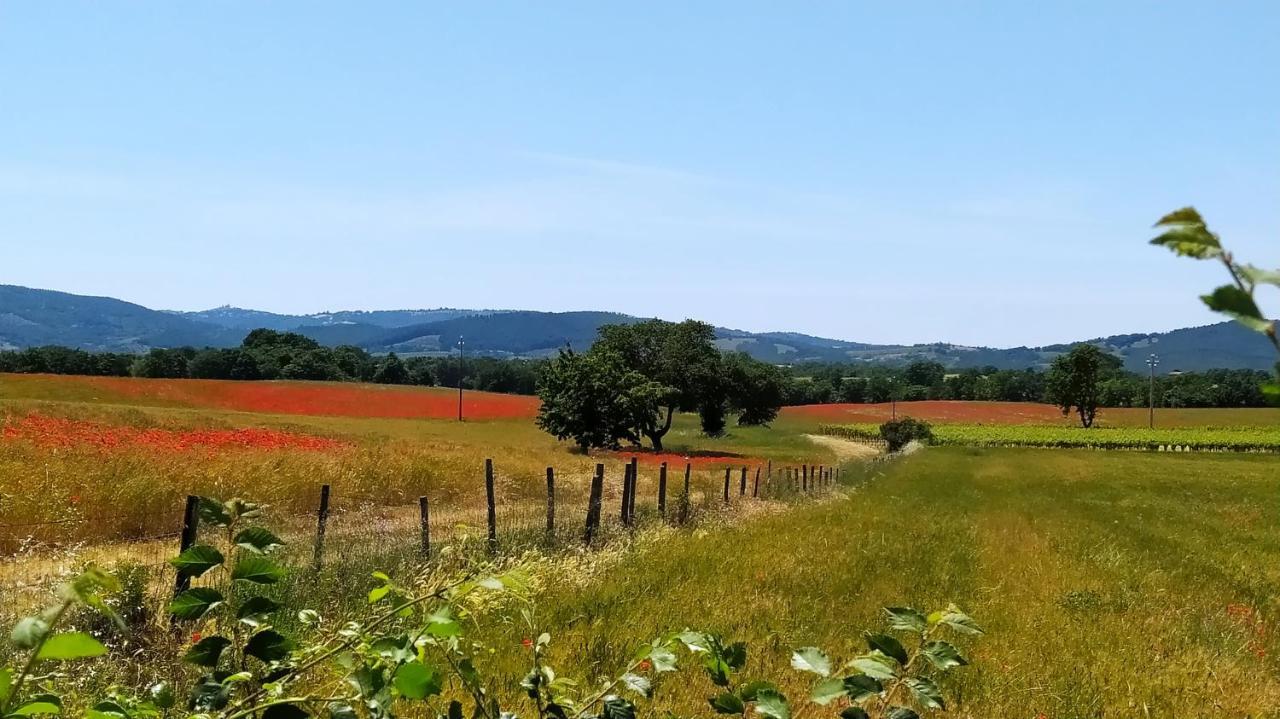 Agriturismo La Dependance ソラーノ エクステリア 写真